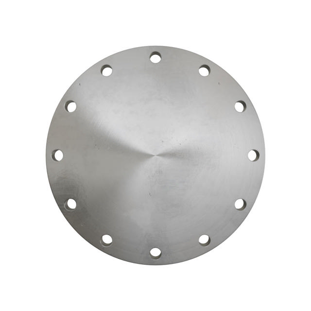Flanges, Stainless, ASME B16.5, Blind flange, 150 lbs, RF, 12", AISI316L, 1.4404