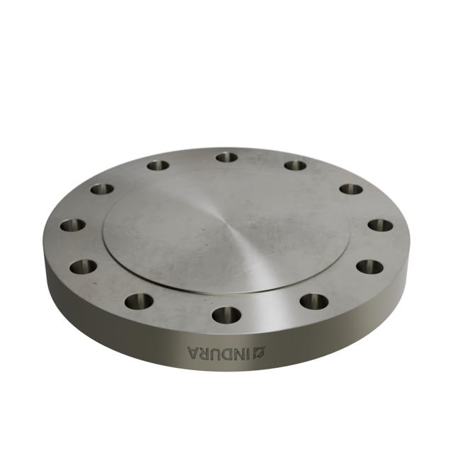 Flanges, Stainless, ASME B16.5, Blind flange, 300 lbs, RF, 6", AISI316L, 1.4404