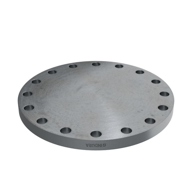 Flanges, HDG, Carbon, EN 1092-1, Blind flange, T:05, PN25, A, DN300, P250GH, 1.0460, 