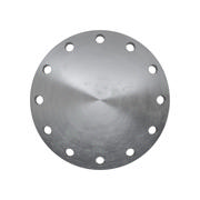 Flanges, Sort, EN 1092-1, Blindflange, T:05, PN16, A, DN250, S235JR, 1.0038, 