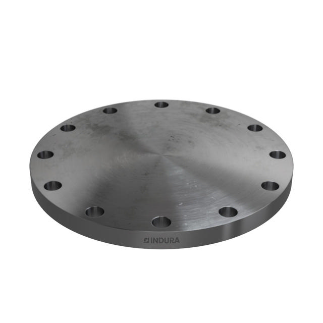 Flanges, Carbon, ASME B16.5, Blind flange, 150 lbs, RF, 10", LF2 CL1-SA/A105N-P280GH