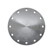 Flanges, Carbon, ASME B16.5, Blind flange, 150 lbs, RF, 10", LF2 CL1-SA/A105N-P280GH