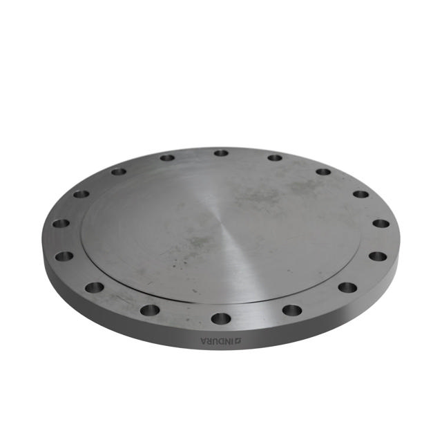 Flanges, Carbon, ASME B16.5, Blind flange, 150 lbs, RF, 16", LF2 CL1-SA/A105N-P280GH