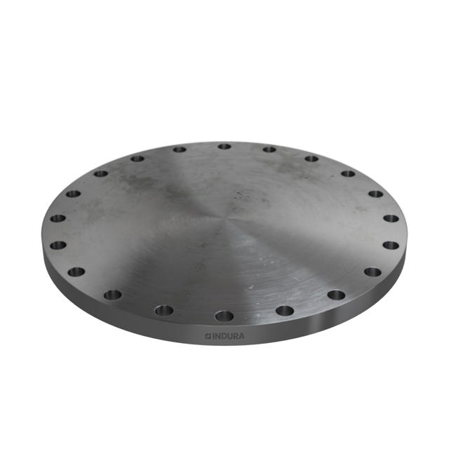 Flanges, Carbon, ASME B16.5, Blind flange, 150 lbs, RF, 24", LF2 CL1-SA/A105N-P280GH