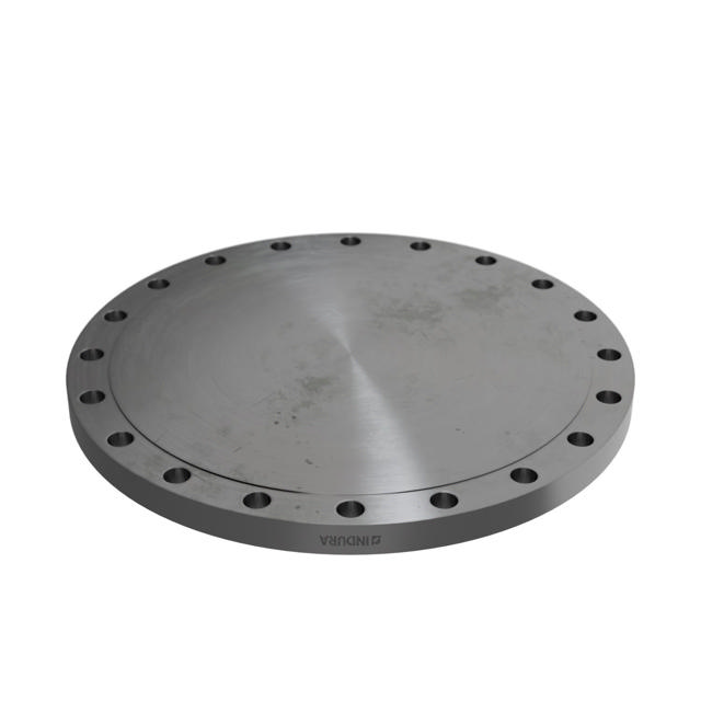 Flanges, Stal węglowa, ASME B16.5, Kołnierz zaślepiający, 150 lbs, RF, 24", LF2 CL1-SA/A105N-P280GH