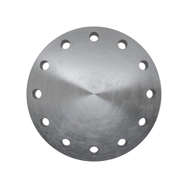 Flanges, Carbon, ASME B16.5, Blind flange, 300 lbs, RF, 6", LF2 CL1-SA/A105N-P280GH